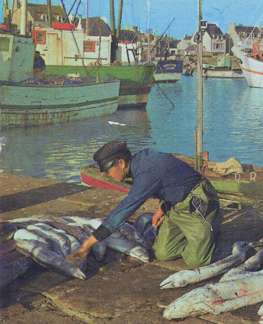 Pierre le mari d'Alexia